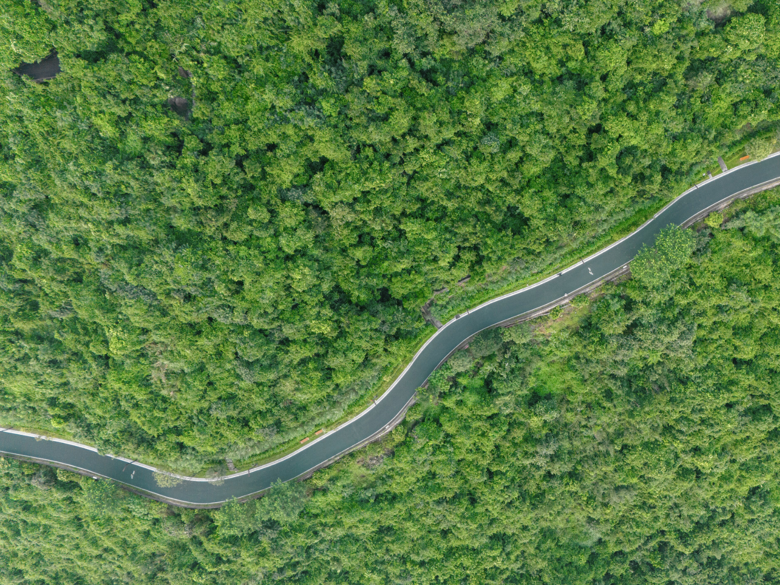Our ESG Roadmap